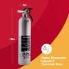 imageFirst Alert DHOME1 Rechargeable Standard Home Fire Extinguisher UL Rated 1A10BC PewterDHOME1