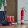imageFirst Alert DHOME1 Rechargeable Standard Home Fire Extinguisher UL Rated 1A10BC PewterHome1
