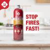 imageFirst Alert EZ Fire Spray Extinguishing Aerosol Spray AF400 Red 18 Ounce Pack of 14Pack